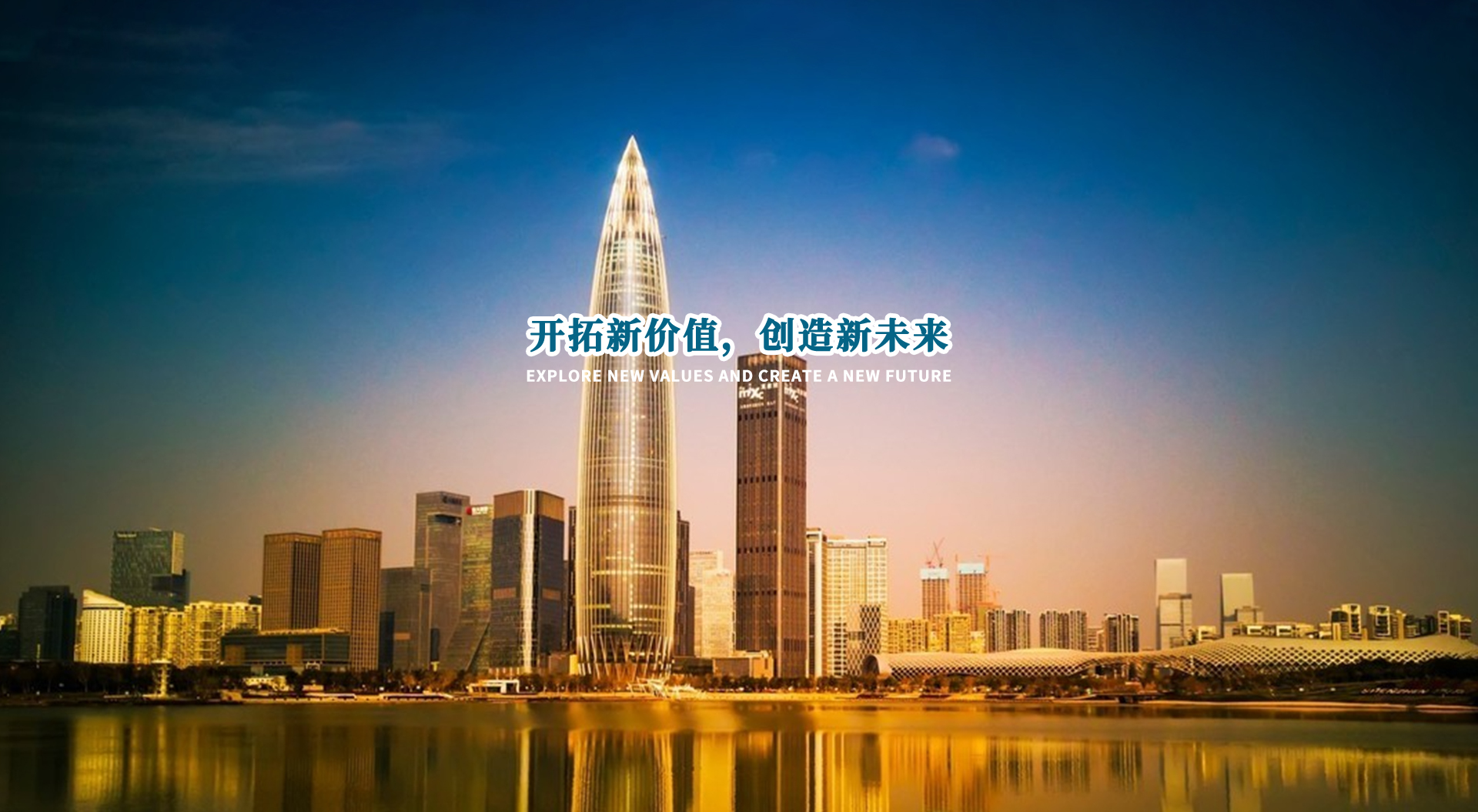 公司愿景