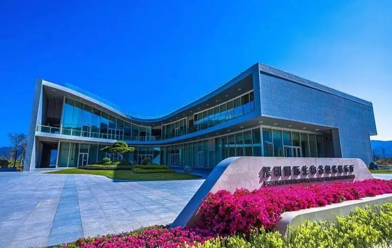 深圳成粤港澳大湾区生物医药产业创新高地
